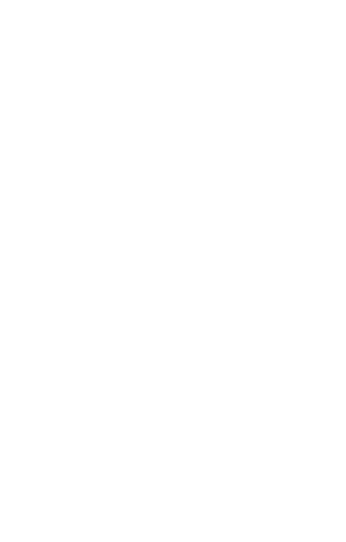 THE ESSENCE OF NIPPON